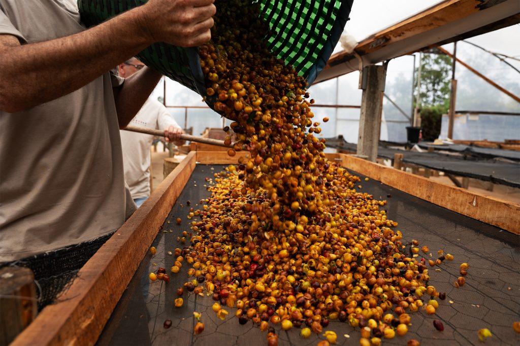 fazenda-camocim-cafe-torrado